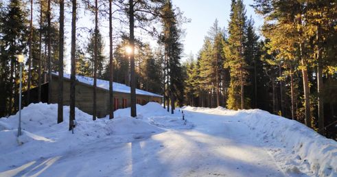 29 38 Lapland 3